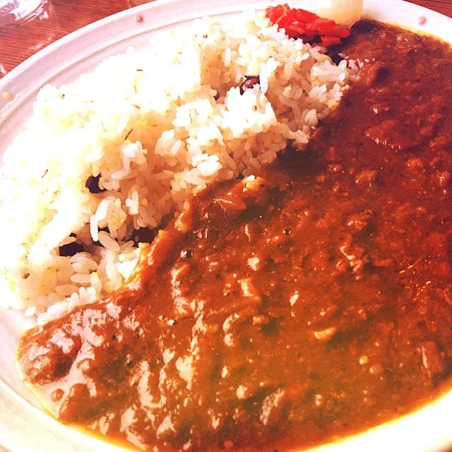 Snapdishの料理写真:薬膳カレー|tomoさん