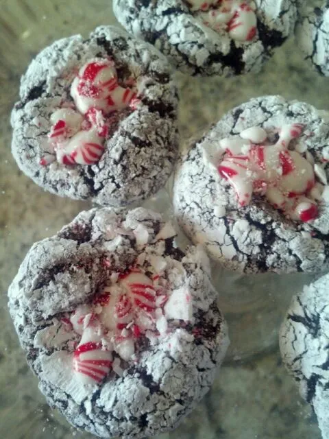 Candy Cane Crinkles|Jennifer Plattさん