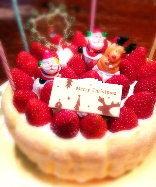 Snapdishの料理写真:今年のXmasケーキ「苺畑」|Hiroshiさん