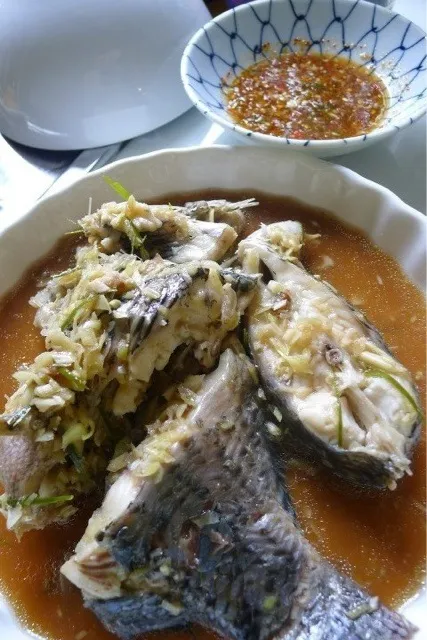 Snapdishの料理写真:Herbal streamed fish|oleさん