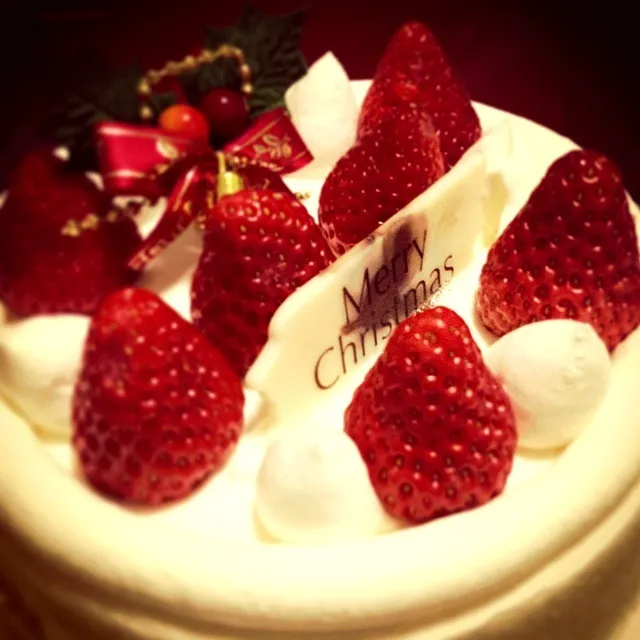 Christmas cake ꒰ღ˘◡˘ற꒱✯*･☪:.｡|図星くんさん