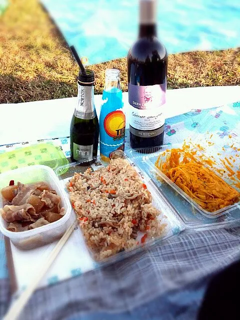 肉大根と炊込ご飯、カボチャのサラダを持って花火見物|利美さん