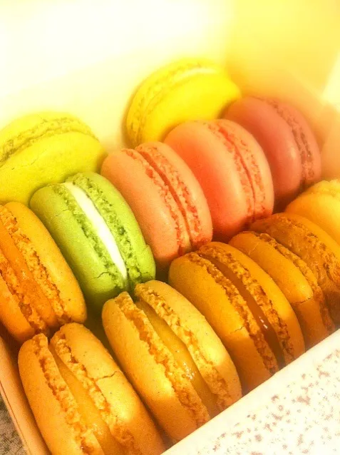 Laduree macaroon|Kandyさん