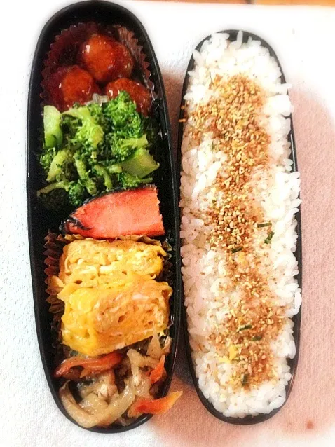 Snapdishの料理写真:お弁当|senaさん