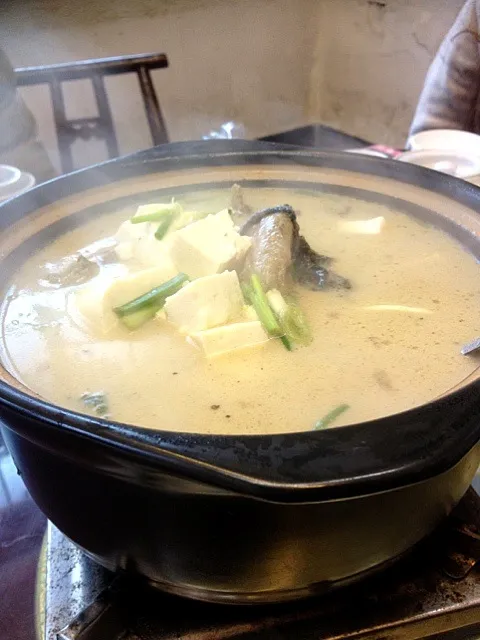 Fish & Tofu soup|Queenさん