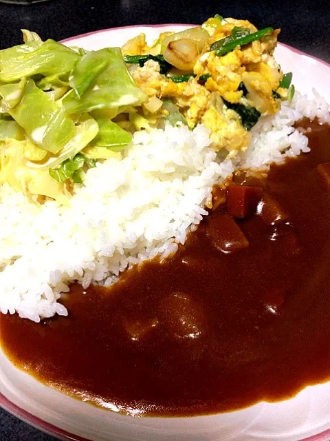 全部のせカレーライス(下仁田ネギエッグ、白米、煮キャベツポン酢マヨ、カレー)  #夕飯|ms903さん