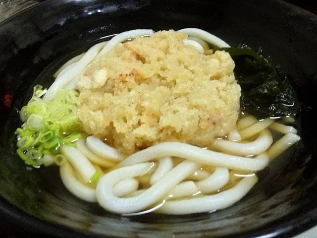 桜海老かきあげうどん|T.Moritaさん