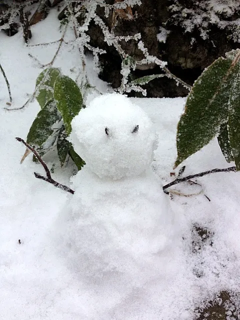 To sige..i made u a little snowman ⛄bcos my hands were freezing..🙀|Queenさん