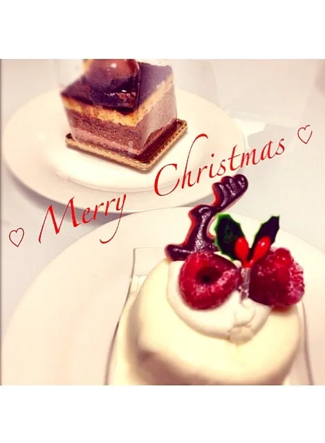 ☆  Christmas   cake   ☆ TAKAMI☃ 12.23|serinさん