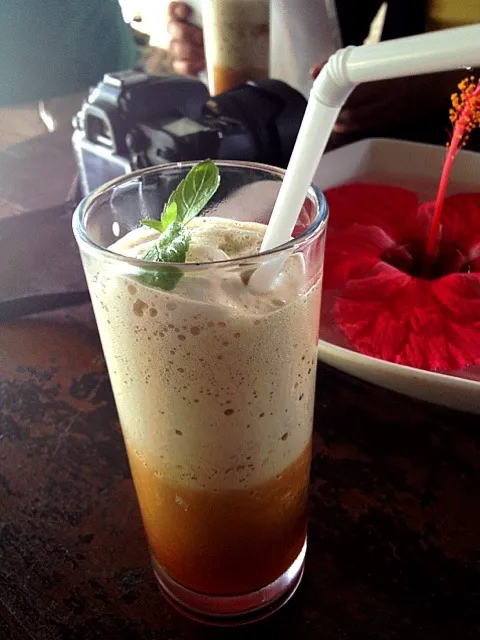 Frozen Iced Tea Slush with Mint Leaves|Crystal Ramosさん