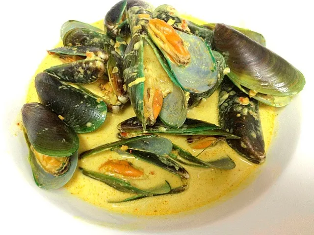 Green mussels in laksa sauce|willzさん