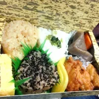 Snapdishの料理写真:ロマンスカーおむすび弁当|うめちゃさん