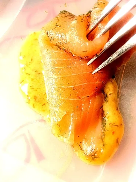 Smoked salmon in sweet mustard and dill|椰サゴさん