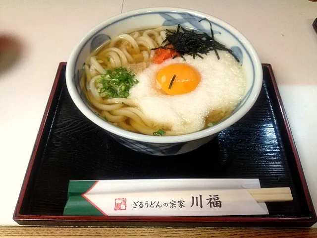 Snapdishの料理写真:山かけうどん|山本さん