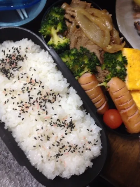 パパの夜勤弁当(￣▽￣)|pashaminaさん