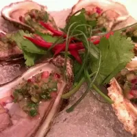 oysters with cilantro stem, red onion and lime mionette|meaghann marcilleさん