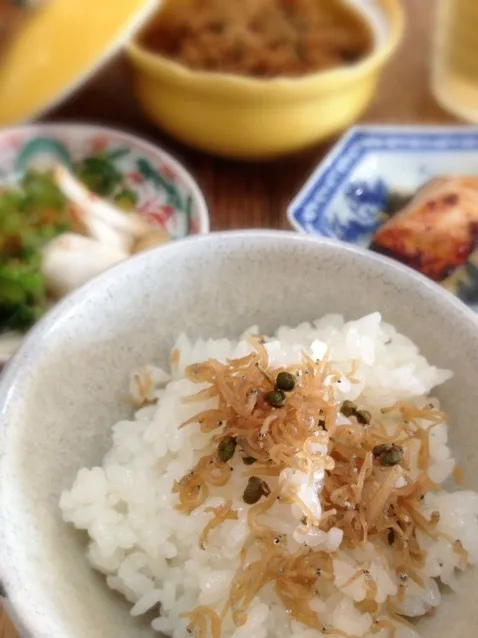 自家製ちりめん山椒でお昼ご飯|makoさん