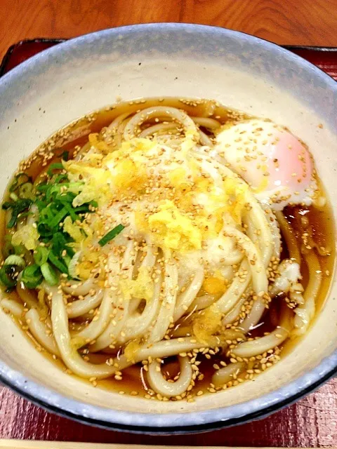 とろ玉ぶっかけうどん|ねこ社長さん