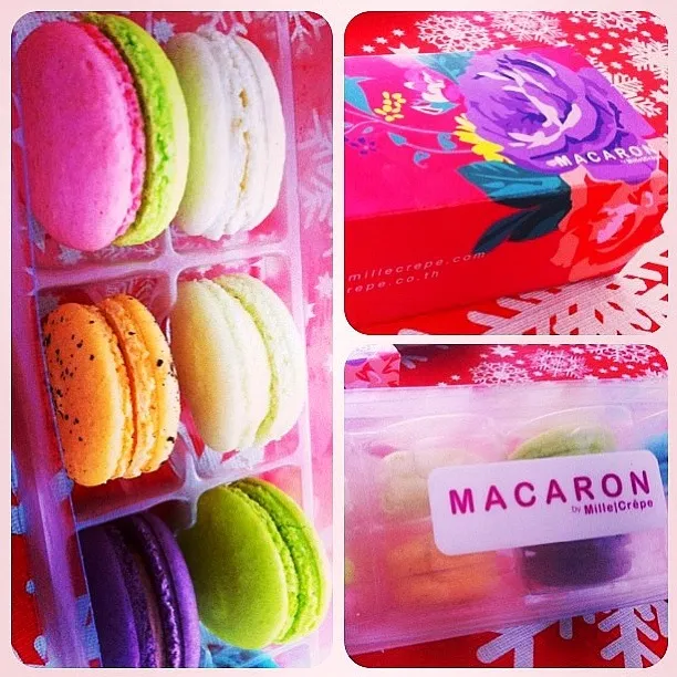 Macaron|pâtissier paloyさん