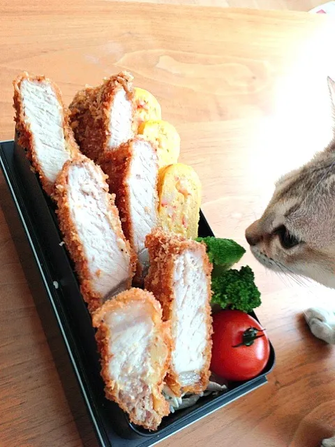 今年最後のトンカツ弁当|りんご苑さん