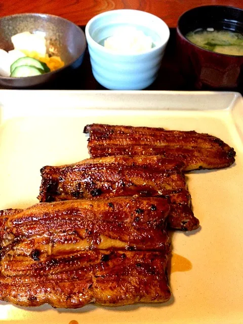 ご飯抜き特上うなぎっ♥|中さんさん