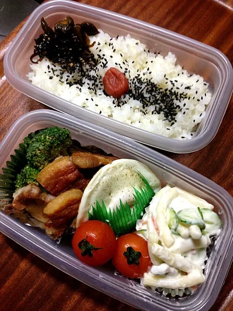 今日の弁当◯塩豚|ハタボーさん