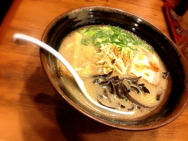 醤油とんこつラーメン|かなさん