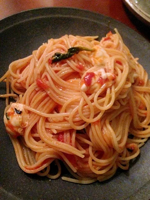 Pasta with tomato sauce basil &mozzarella🍅モッツァレラとバジルのトマトソースパスタ by Chef hubby|🌈Ami🍻さん