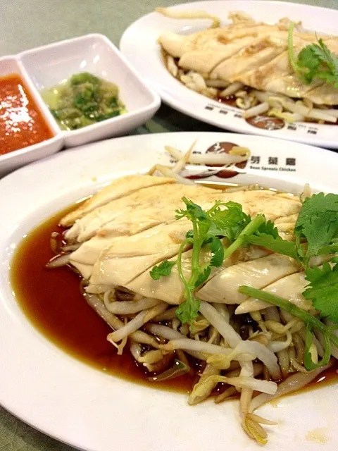 Kampung Chicken with Bean Sprouts and Ginger oil dip|Cantshootさん