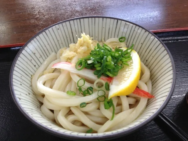 Snapdishの料理写真:しこしこうどん  香川県|ひなどりさん