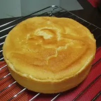 Snapdishの料理写真:ヨーグルトケーキ|ユカリさん