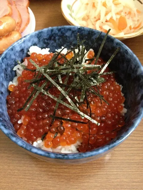 Snapdishの料理写真:ばあちゃん特製いくら丼|ザキさん