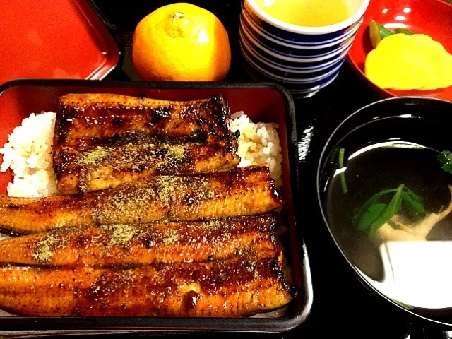 Healthy unagi&green tea for my dinner:)|Dezza Tsuchiyaさん