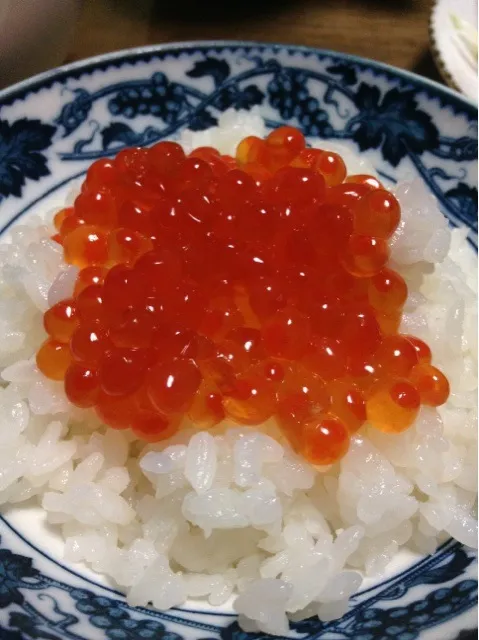 Snapdishの料理写真:いくら丼|はるみさん