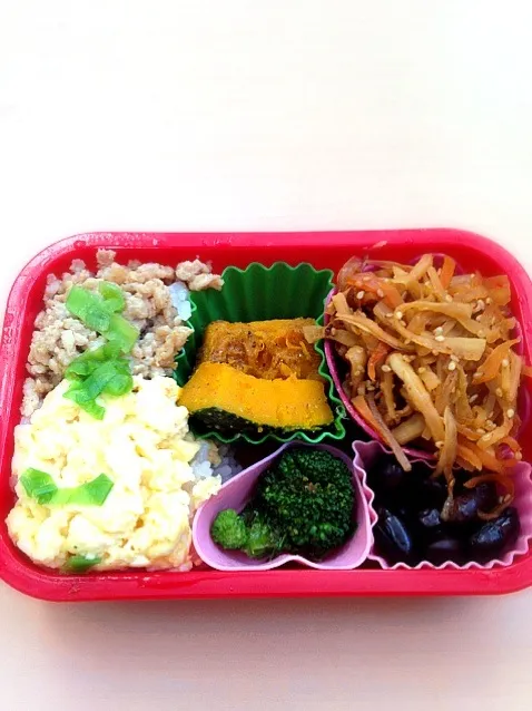 Snapdishの料理写真:鶏そぼろ弁当|ayamenさん