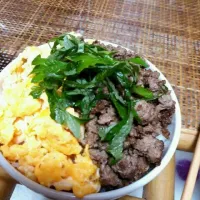 Snapdishの料理写真:簡単♪そぼろ丼|Chiharuさん