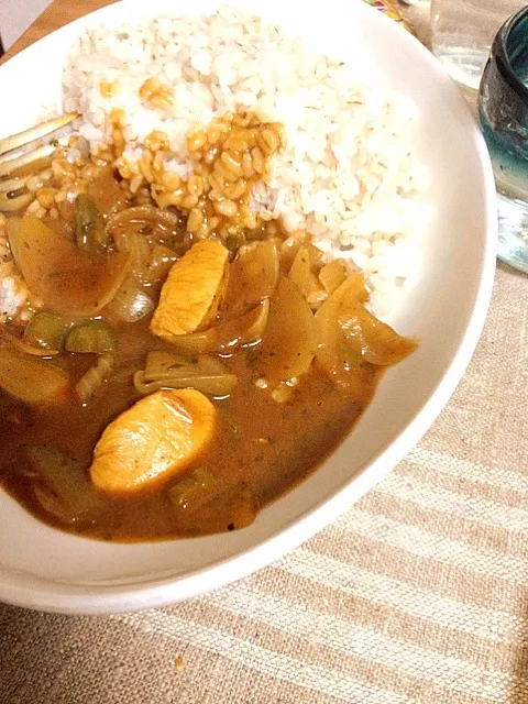 カレーです。さらりと|なおきさん