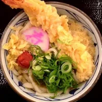 Snapdishの料理写真:丸亀製麺の年明けうどん 大海老天うどん|Hiroaki Wakiさん