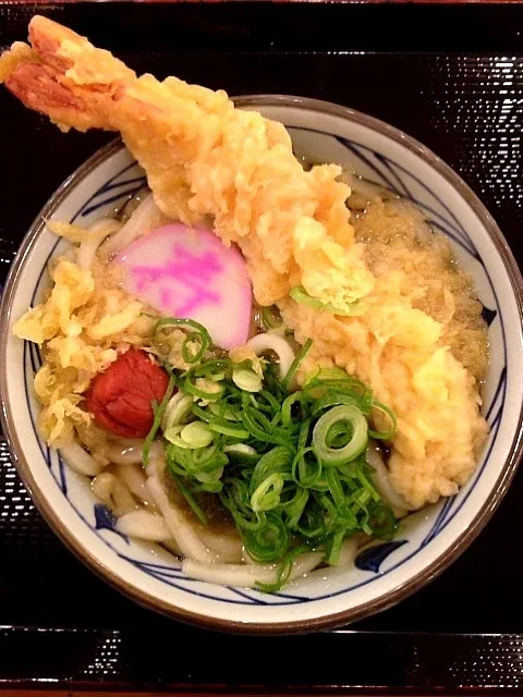 Snapdishの料理写真:丸亀製麺の年明けうどん 大海老天うどん|Hiroaki Wakiさん