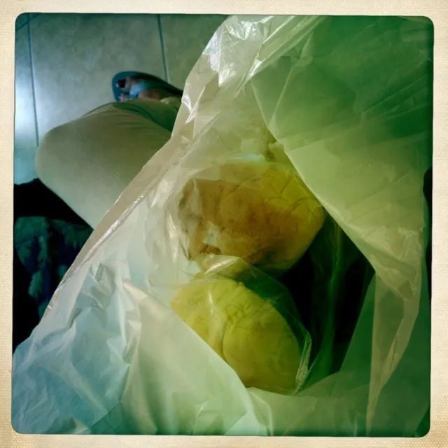 Breads for lunch|cocktail hourさん