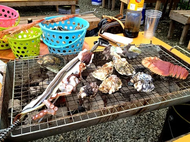 カキ小屋|ROYさん