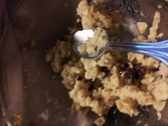 oatmeal with raisin|ernestine sullivanさん