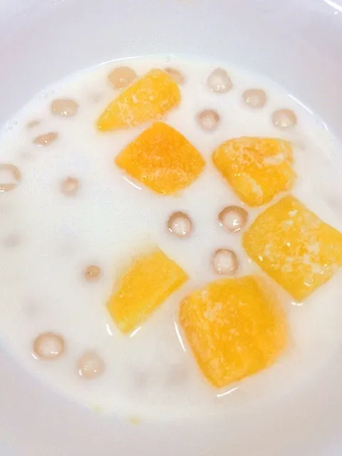 Snapdishの料理写真:Coconut milk tapioca|椰サゴさん