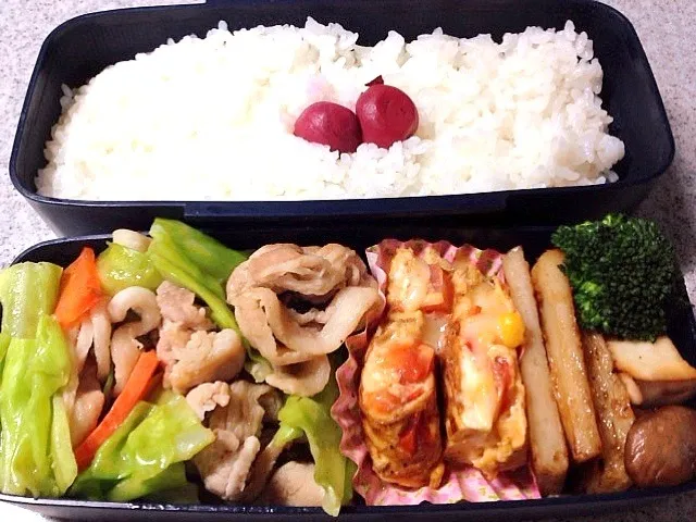 旦那さんのお弁当|5児のママさん