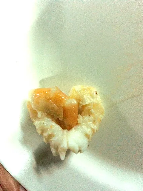 Heart shrimp|modmengさん