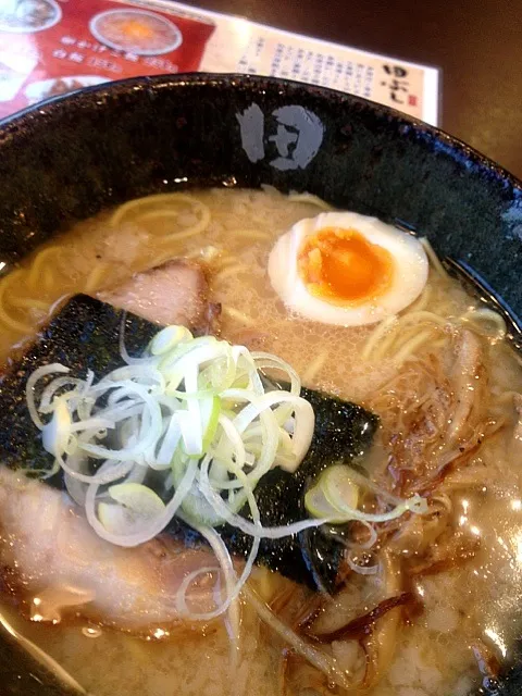 田ぶし、醤油ラーメン|いぐあなさん