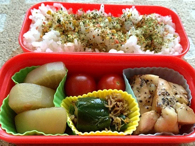 Snapdishの料理写真:本日のお弁当|温さん