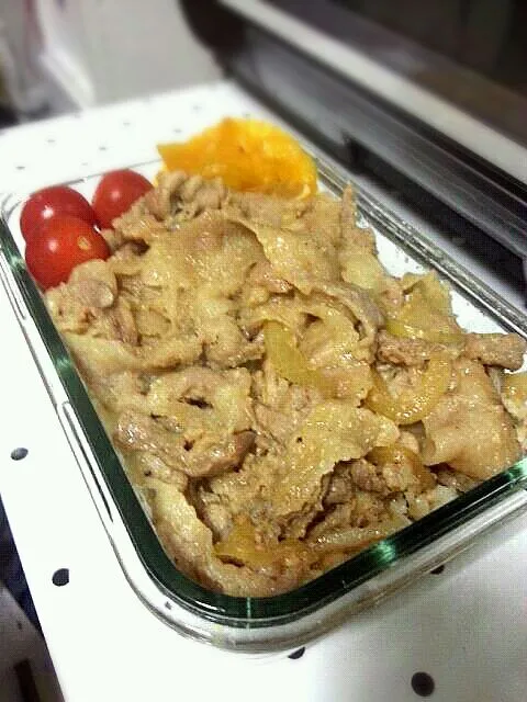 Snapdishの料理写真:保存容器で丼弁当|meguppoさん