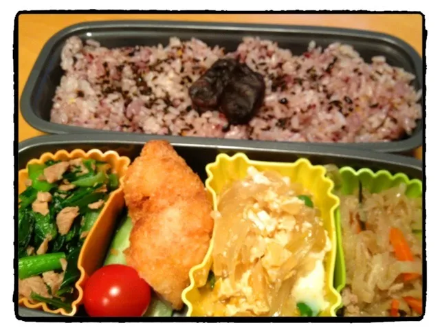 昨夜みたよね？の連続なお弁当(^^;;|松浦有里さん