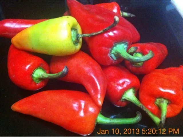 Love bellpeppers! Thanks mama ang dami |unicoandunicaさん